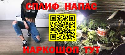 крисы Дубна