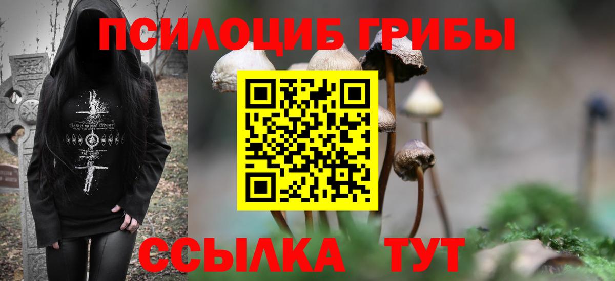 Псилоцибиновые грибы мухоморы Набережные Челны